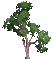 arbre - Ücretsiz animasyonlu GIF animasyonlu GIF