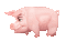 pink pig  by nataliplus - GIF animé gratuit GIF animé