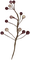 foliage feuillage follaje zweig twig - безплатен png анимиран GIF