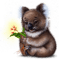 Y.A.M._Animals koala - Free PNG Animated GIF