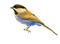 AVES - kostenlos png Animiertes GIF