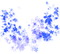 Leaves.Blue - Free PNG Animated GIF