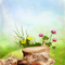 Y.A.M._Summer Fantasy tales background - 無料png アニメーションGIF
