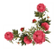 red flowers deco - PNG gratuit GIF animé