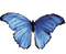 бабочка - Безплатен анимиран GIF анимиран GIF