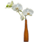 vase katrin - δωρεάν png κινούμενο GIF