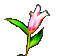 flower fleur blossom blumen deco tube  effect effet  spring printemps     gif anime animated animation - Ücretsiz animasyonlu GIF animasyonlu GIF