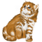Cat Chat - zdarma png animovaný GIF