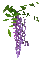 animated purple flower - Δωρεάν κινούμενο GIF κινούμενο GIF