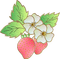 berry - 免费PNG 动画 GIF