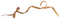 autumn deco ribbon brown bow kikkapink - Free PNG Animated GIF