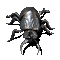 beetle - Bezmaksas animēts GIF animēts GIF