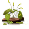 Piedras y plantas - Free PNG Animated GIF