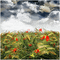 landscape - 免费PNG 动画 GIF
