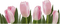 tube fleur - δωρεάν png κινούμενο GIF