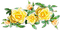 soave deco flowers spring branch rose - kostenlos png Animiertes GIF