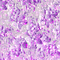ME BG.anim.fantasy.sparkles.purple.idca - Free animated GIF Animated GIF