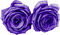 kikkapink purple flower deco - бесплатно png анимированный гифка