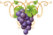 grapes   Bb2 - besplatni png animirani GIF