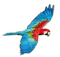 Rena Papagei Vogel - gratis png geanimeerde GIF