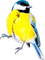 soave deco  bird spring  blue yellow - png gratis GIF animasi