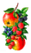Y.A.M._Summer fruit decor - Free PNG Animated GIF