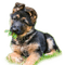 Rena Schäferhund Welpe - gratis png geanimeerde GIF