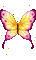papillon - GIF animado grátis Gif Animado