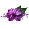 kikkapink gems gem purple flowers - Free PNG Animated GIF
