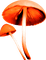 Mushrooms.Orange - kostenlos png Animiertes GIF