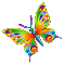 papillon - GIF animate gratis GIF animata