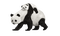 panda - Free PNG Animated GIF