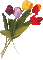 Blume, fleur, flower, tulips - Free animated GIF Animated GIF