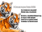 tiger  by nataliplus - bezmaksas png animēts GIF