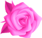 Kaz_Creations Flower Colours - ilmainen png animoitu GIF
