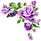Roses.Butterfly.Purple - png gratuito GIF animata