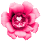 Flower.Pink.Animated - KittyKatLuv65