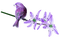 Kaz_Creations Deco Flowers Colours Bird - gratis png geanimeerde GIF