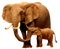 elephant bp - zadarmo png animovaný GIF