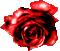 ♡§m3§♡ VDAY RED ROSE GOTHIC ANIMATED GIF - Darmowy animowany GIF animowany gif