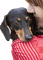 Kaz_Creations Woman Femme Dog Pup - ilmainen png animoitu GIF