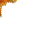 Cornice di foglie - PNG gratuit GIF animé