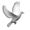 Kaz_Creations Deco Bird Birds Dove - PNG gratuit GIF animé