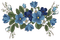 nbl-flowers - bezmaksas png animēts GIF