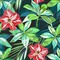 Tropic Background - Free PNG Animated GIF
