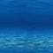 underwater unterwasser sous l'eau sea mer meer ozean ocean océan water wasser eau  summer ete sommer fond background gif anime animated animation