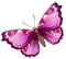 All  my butterflys - zdarma png animovaný GIF