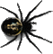 spider - Zdarma animovaný GIF animovaný GIF