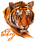 tigres - Bezmaksas animēts GIF animēts GIF