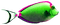 Fish.Green.Pink.White - png gratis GIF animasi